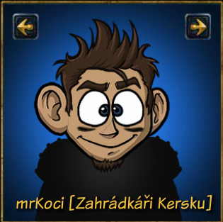 mrKoci